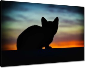 Vászonkép 100x70 Búvó cica