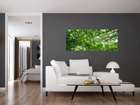Kép - Kilátás a fák tetejére (120x50 cm)