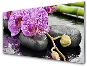 Akril üveg kép Orchidea Orchidea Zen Spa 100x50 cm 2 fogas