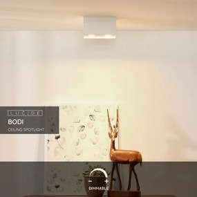 Lucide 09101/02/31 - Spotlámpa BODI 2xGU10/50W/230V