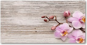 Lacobel Orchidea panel fán 120x60 cm Ragasztó