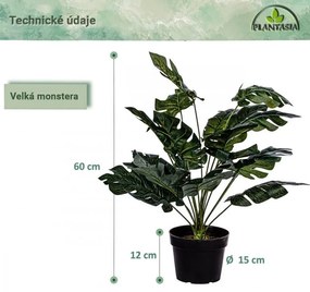 PLANTASIA Műnövény Monstera 60 cm fekete