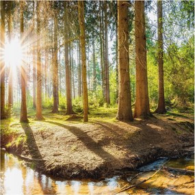 Flizelin tapéta Divatos 3D fali ragasztó Erdei idill 250x250 ragasztó