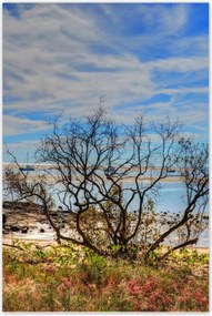 Poszterek 80x120 Kilátás a tengerpartról