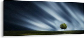 Az aurora borealis képe egy lápvidéken (120x50 cm)
