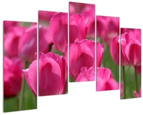 Festmények - tulipánok (125x90cm)