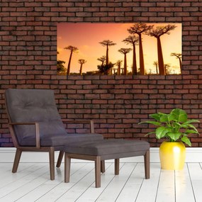 Kép - Naplemente a Baobab Alley-ben (120x50 cm)