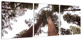 Kép - Kilátás a fák között (órával) (90x30 cm)