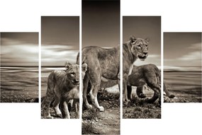 Fekete fehér tigris képe (150x105 cm)