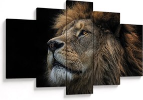 Kép - A fenséges oroszlán (150x105 cm)