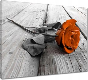 Vászonkép 50x40 Tearózsa Deszka