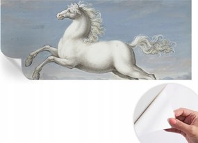 Öntapadós Dekoratív Fotótapéta Hálószobába Lovak ugrásban 250x104 cm