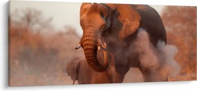 Kép - Nagy afrikai elefánt (120x50 cm)