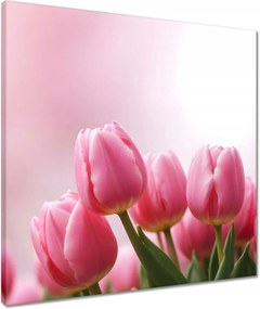 Vászonkép 50x50 Rózsaszín tulipánok