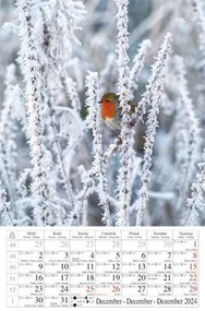 Naptár, fali, CSG Erdeink világa (NCFN084)