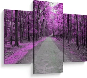 Kép - Út a parkon (90x60 cm)
