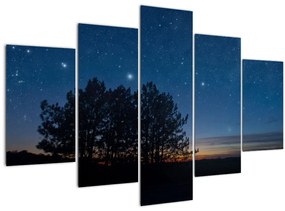 A fák éjjel képe (150x105 cm)