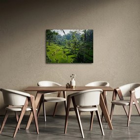 Kép a rizs teraszokról, Tegalalang, Bal (70x50 cm)