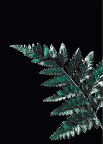 Dekoria Dark Fern Leaf poszter