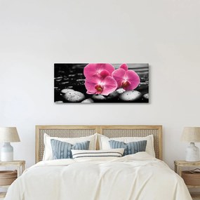 Kép - Rózsaszín orchideák (120x50 cm)
