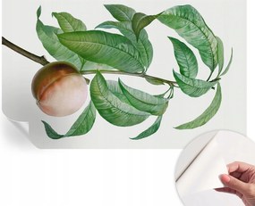 Öntapadós fali fotótapéta a szobába Érett őszibarack 416x254 cm