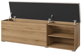 Cipősszekrény Verdeene (vad tölgy + bézs). 1091839