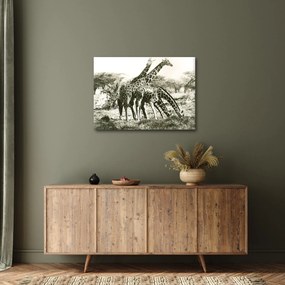 Kép - Zsiráfok, vintage (70x50 cm)
