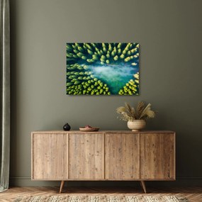 Üveg kép - Egy ködbe burkolt erdő (70x50 cm)