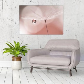 Kép - Egy csepp harmat (90x60 cm)