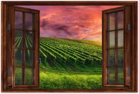 Poszterek 60x40 Szőlőbirtok Tájkép