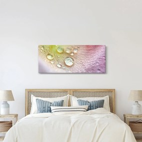 Kép - Harmatcseppek (120x50 cm)