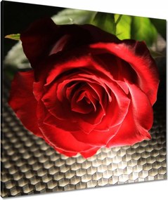 Festmények 80x80 Érdekes ötlet