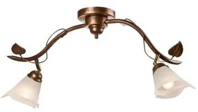 Spotlámpa BLUSZCZ 2xE14/40W/230V