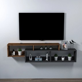 TV szekrény Atlantis - Light Diós, Antracit