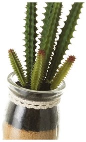 Műnövény szett 4 db-os (magasság 18 cm) Cactus – Casa Selección