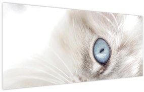 Kép - Kék szemű macska (120x50 cm)