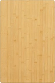 vidaXL bambusz asztallap 60 x 100 x 2,5 cm