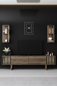 Gold Line - Walnut, Black