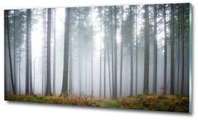 Üvegfotó Köd az erdőben osh-74026356