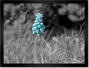 Poszter keretben 40x30 Türkiz virág