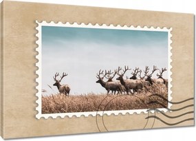 Vászonkép 120x80 Szarvasok felhője