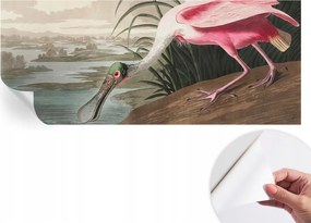 Öntapadós fotótapéta Konyha Mosható Egzotikus madár 250x104 cm