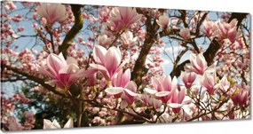 Vászonkép 60x30 Magnólia Virágok Kék