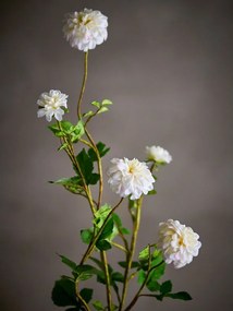 Művirág (magasság 101 cm) Chrysantemum – Bloomingville