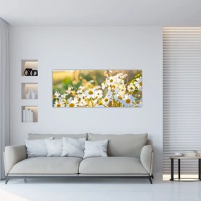 Kép - Százszorszépek (120x50 cm)