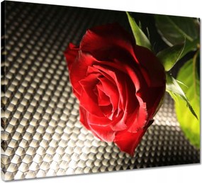 Vászonkép 50x40 Ízléses rózsa ajándékba