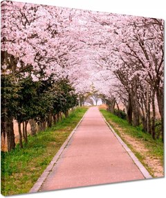 Vászonkép 40x40 Virágok