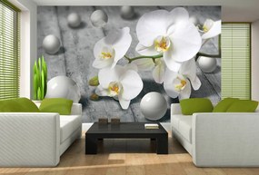 Fotótapéta - Fehér orchidea (152,5x104 cm)