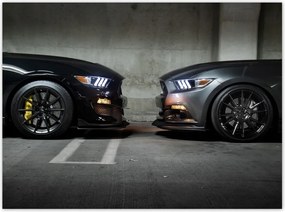 Poszterek 135x100 Face to face Mustang