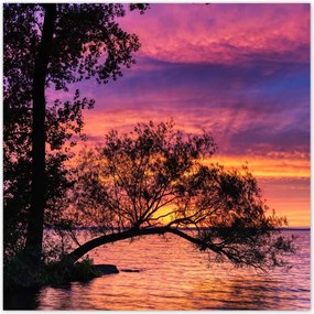 Poszterek 140x140 Tó Fa Nyugat